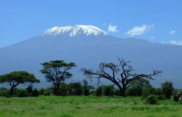 How the Best Mount Kilimanjaro Tour Operators Ensure a Successful Climb From Planning to Summit