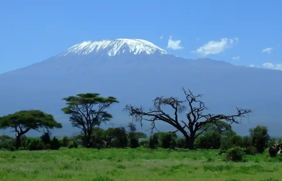 best mount kilimanjaro tour operators