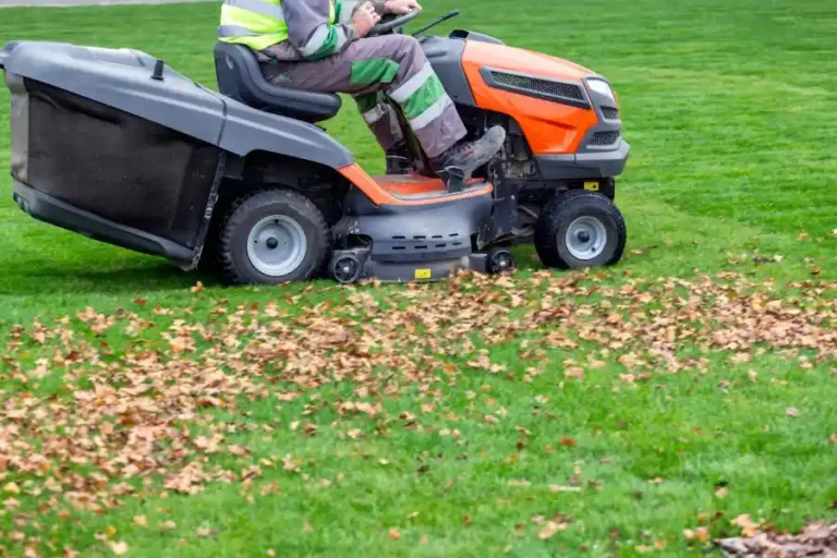 leaf removal