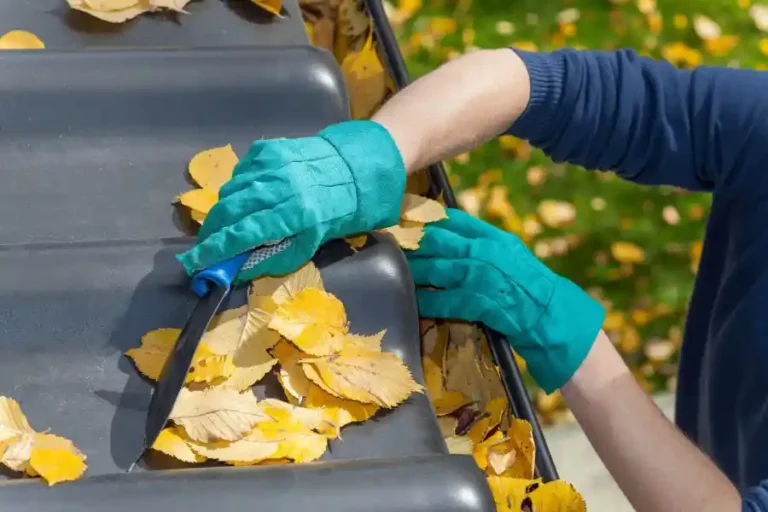 How Licensed Gutter Cleaners Can Protect Your Home from Water Damage