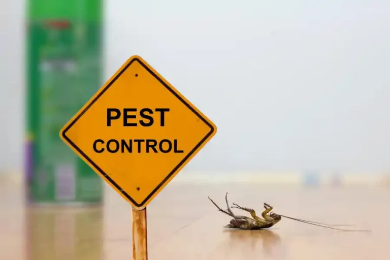 pest control specialists