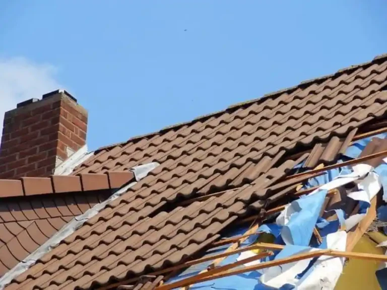 wind damaged shingles