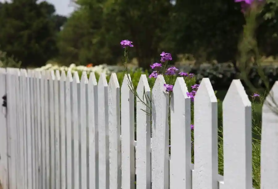 fence painting ideas