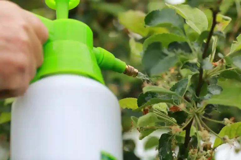 organic mosquito spray